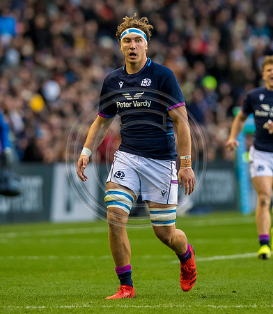 Scotland v Australia