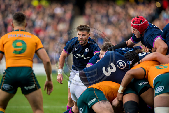 Scotland v Australia