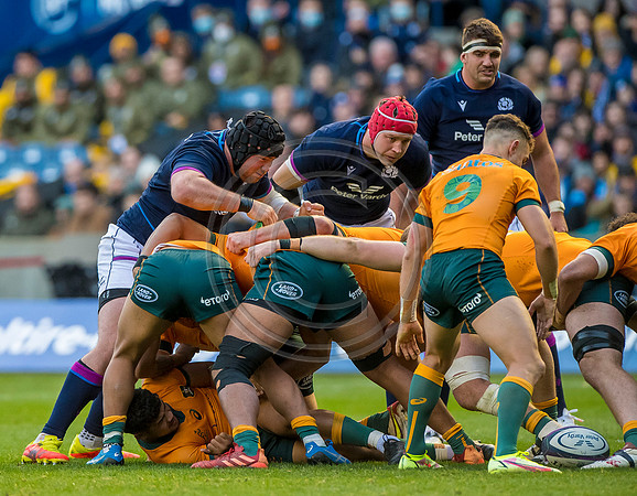 Scotland v Australia
