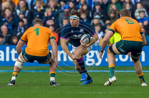 Scotland v Australia