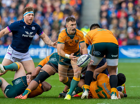 Scotland v Australia