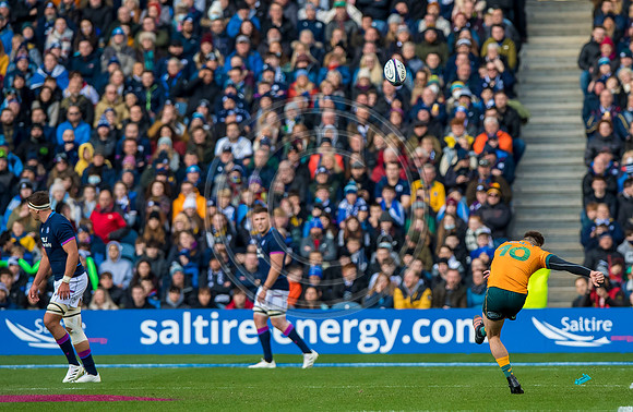 Scotland v Australia