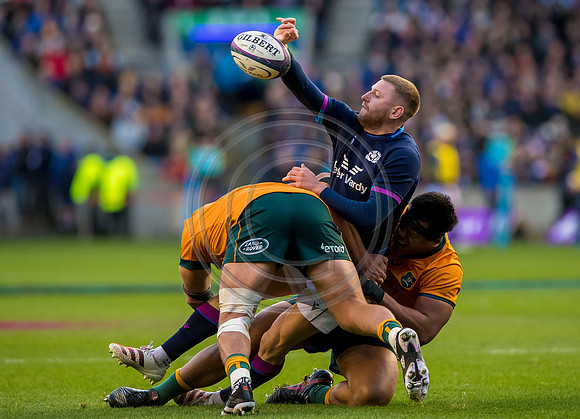 Scotland v Australia