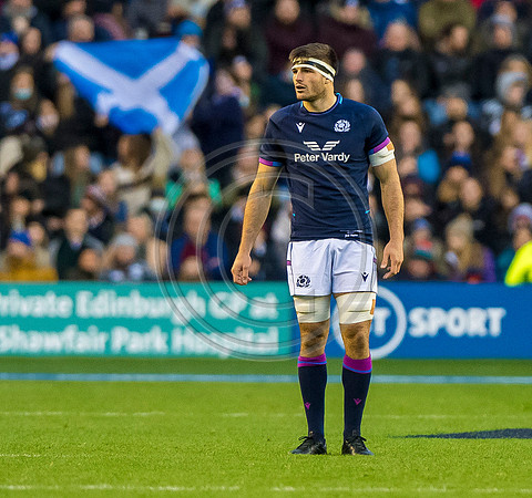 Scotland v Australia
