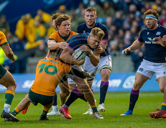 Scotland v Australia