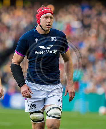 Scotland v Australia