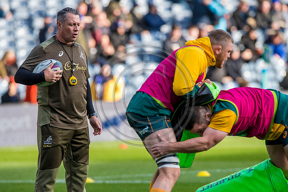 Scotland v Australia