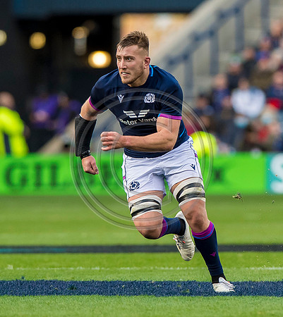 Scotland v Australia