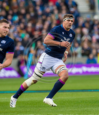 Scotland v Australia