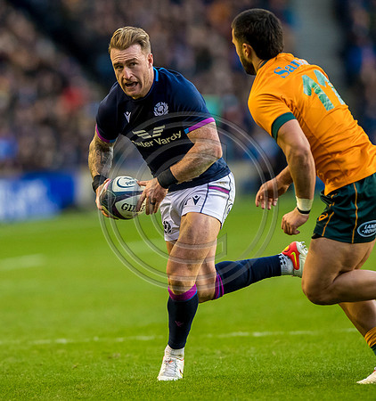 Scotland v Australia