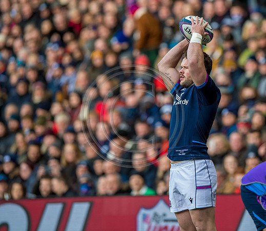 Scotland v Australia