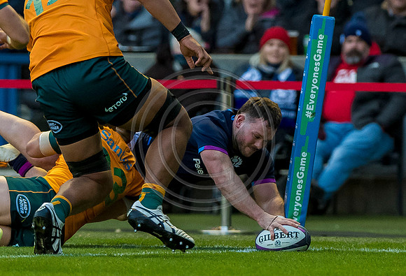 Scotland v Australia