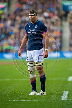 Scotland v Australia