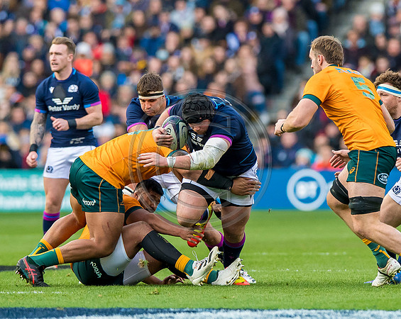 Scotland v Australia