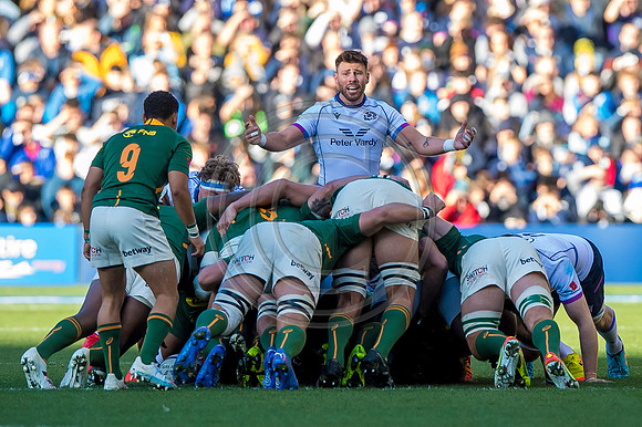 Scotland v South Africa