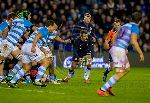 Scotland v Argentina 241118