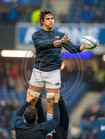 Scotland v Argentina 241118