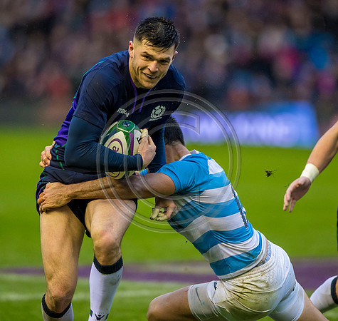 Scotland v Argentina 241118