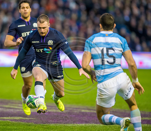 Scotland v Argentina 241118