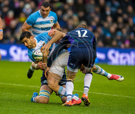 Scotland v Argentina 241118