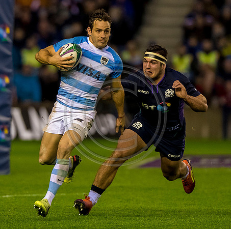 Scotland v Argentina 241118