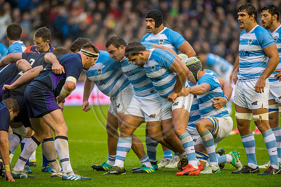 Scotland v Argentina 241118