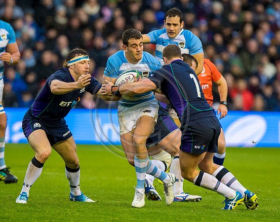 Scotland v Argentina 241118