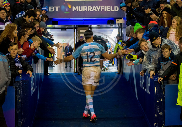 Scotland v Argentina 241118