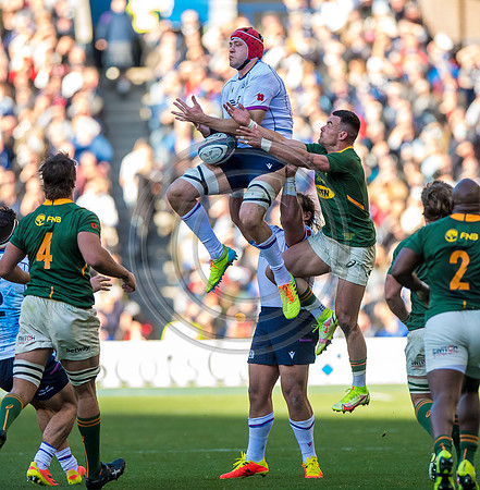 Scotland v South Africa