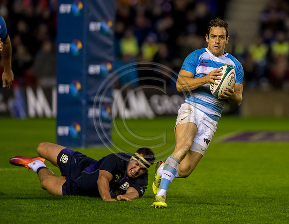 Scotland v Argentina 241118