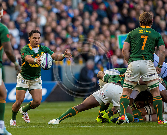 Scotland v South Africa