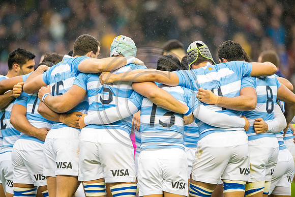 Scotland v Argentina 241118