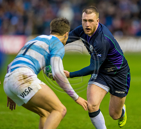 Scotland v Argentina 241118