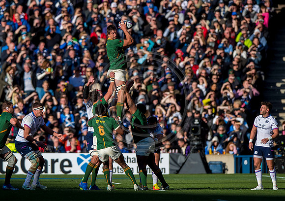 Scotland v South Africa