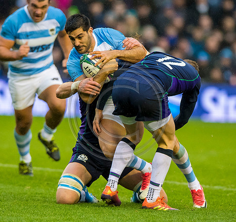 Scotland v Argentina 241118