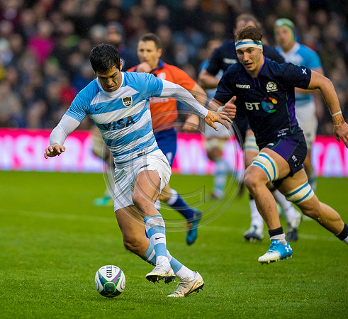 Scotland v Argentina 241118