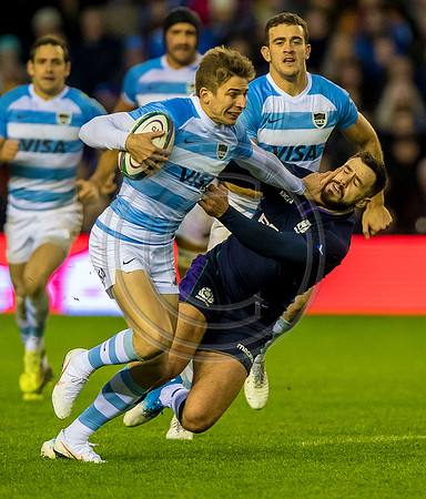 Scotland v Argentina 241118