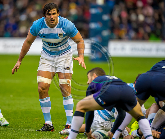 Scotland v Argentina 241118