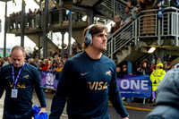 Scotland v Argentina 241118