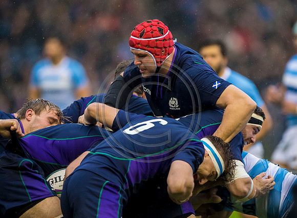 Scotland v Argentina 241118