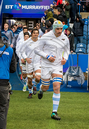 Scotland v Argentina 241118