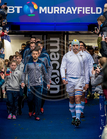 Scotland v Argentina 241118