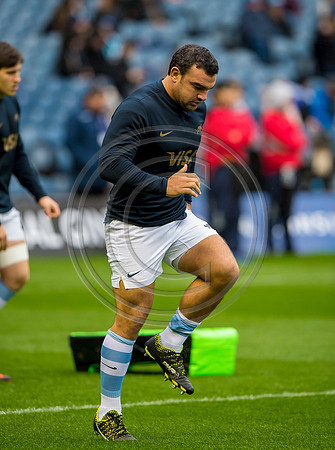 Scotland v Argentina 241118