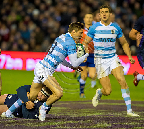 Scotland v Argentina 241118
