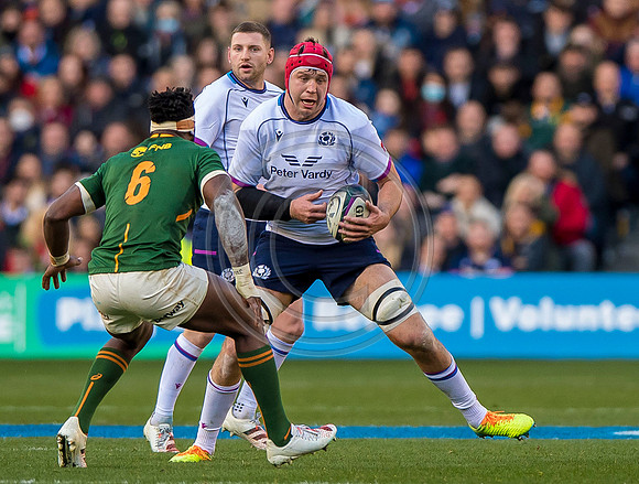 Scotland v South Africa