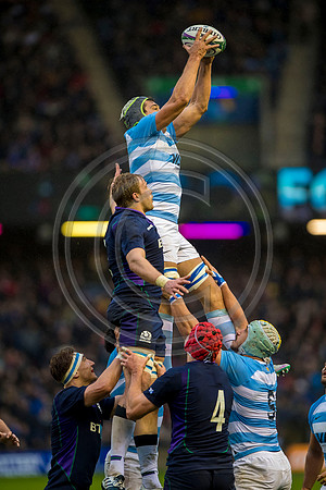 Scotland v Argentina 241118