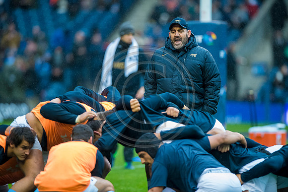 Scotland v Argentina 241118