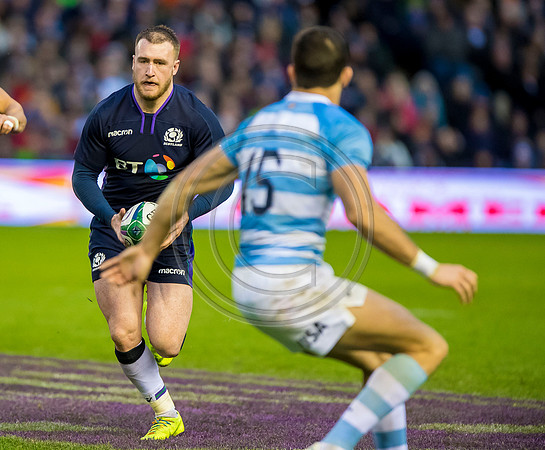 Scotland v Argentina 241118