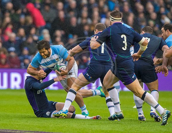 Scotland v Argentina 241118