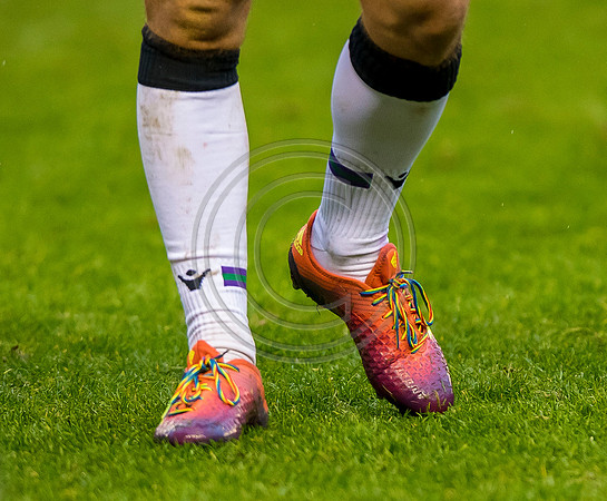 Scotland v Argentina 241118